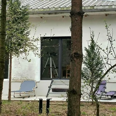 House Tereszewo