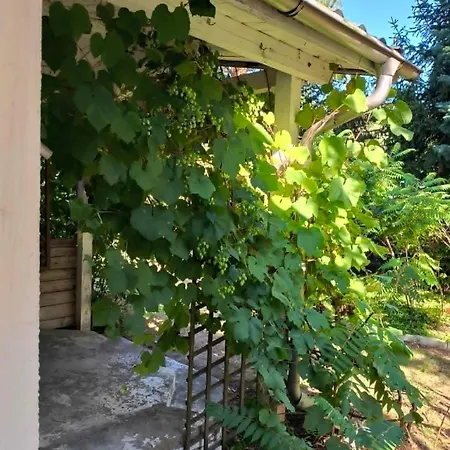 House Сasa de vacaciones *
