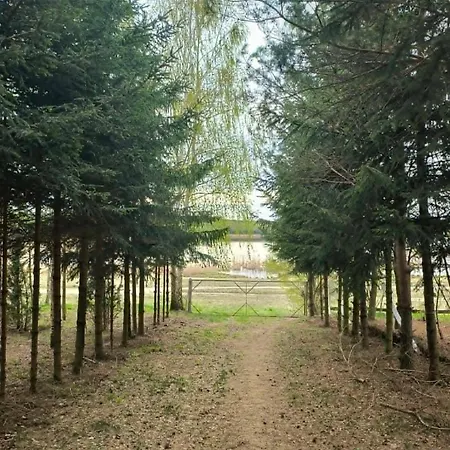 House Tereszewo
